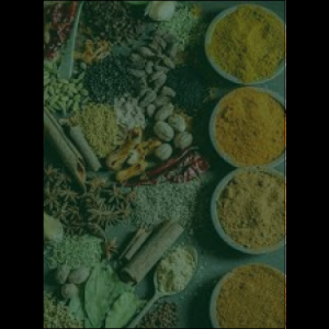 masala_original_copy_2_copy_1_copy_1_copy_1_copy_1